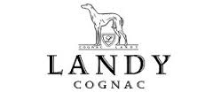 Landy logo