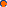 measle_orange[1]